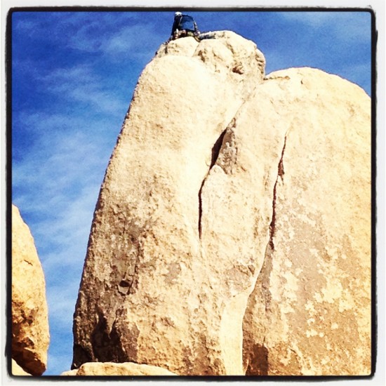 overcoming rejection, joshua tree