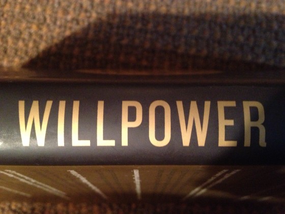 Read more about the article Willpower and Making Changes that Stick