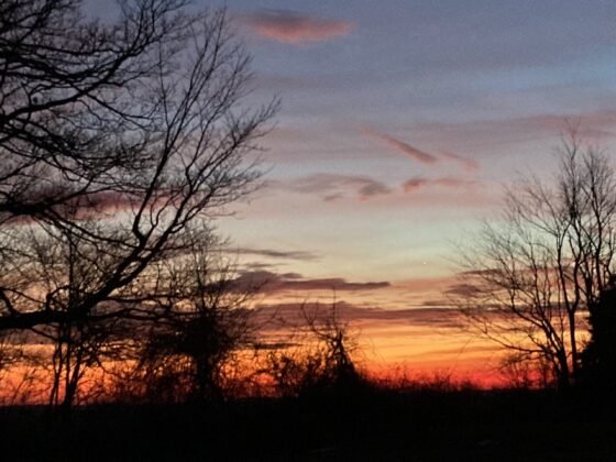 Read more about the article Double Check Your AI Research