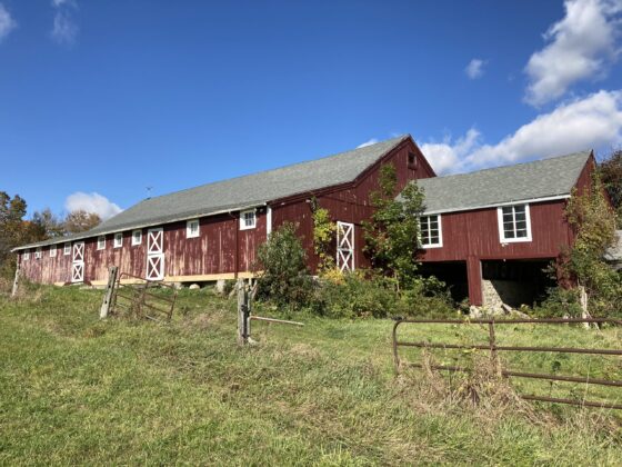 Read more about the article Tips for Eating Well