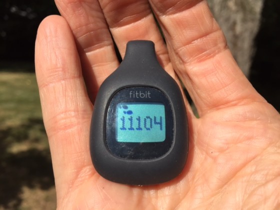 Read more about the article My Fitbit and My Health